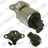 DELPHI EG10256-12B1 EGR Valve